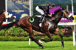 A DAY AT THE HK RACES WITH FAST TRACK 16