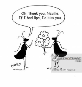 'Oh, thank you, Neville. If I had lips, I'd kiss you.'