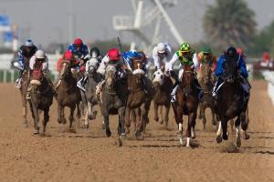 From The Dubai World Cup Twitterverse 6b